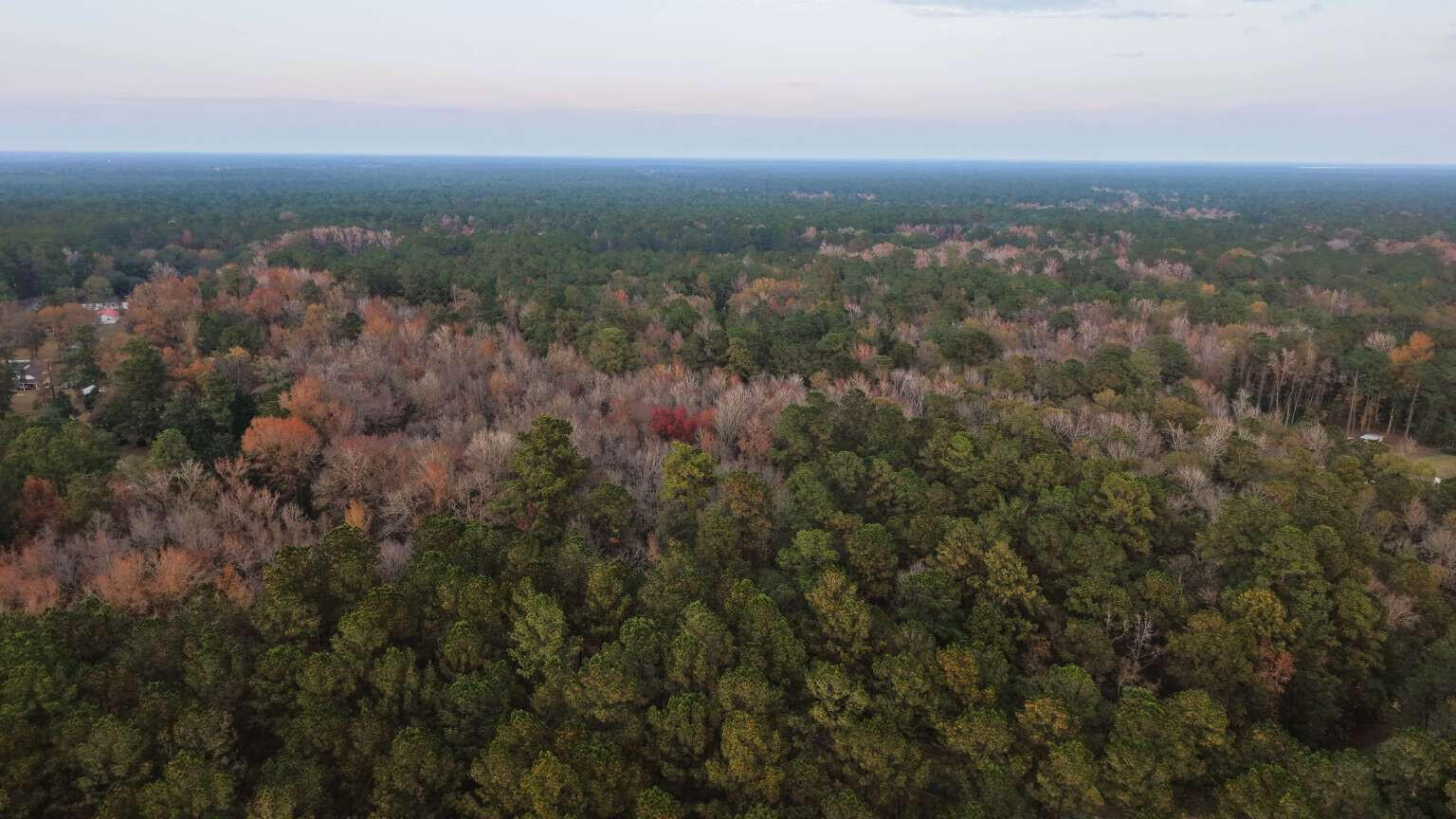 0 Betsy Hole Road Bonneau, SC 29431 - Photo 10 of 17 Aulakh.10