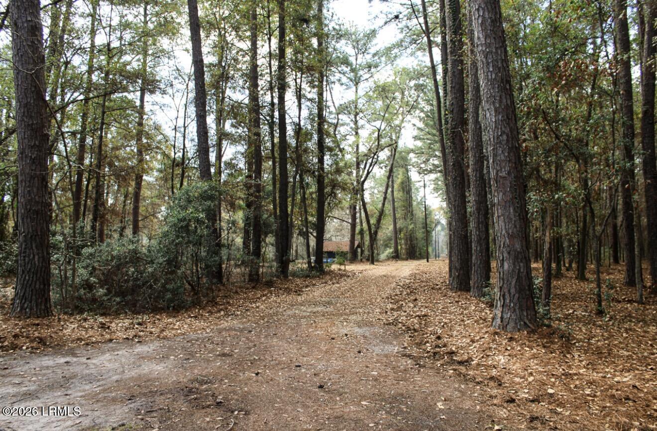 75 Ihly Farm Road Beaufort, SC 29906 - Photo 8 of 8 IMG_1823