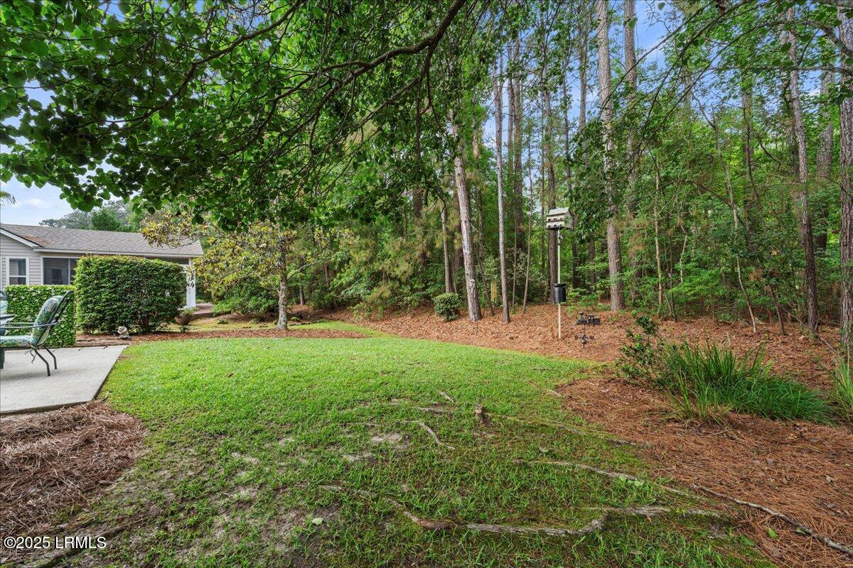 61 Hampton Circle Bluffton, SC 29909 - Photo 23 of 24 24-Backyard