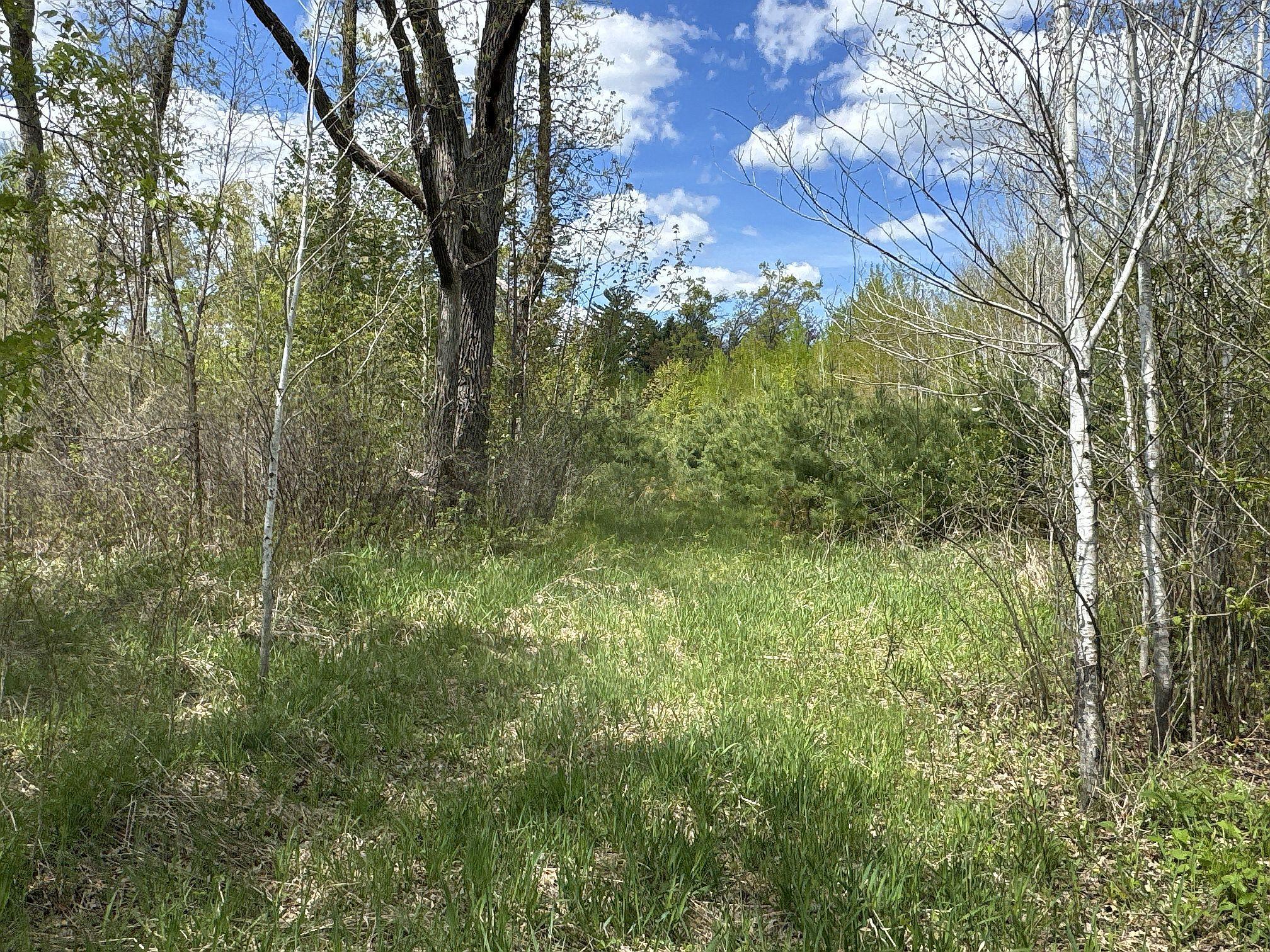 25275 Bruss Road Webster, WI 54893 - Photo 8 of 36
