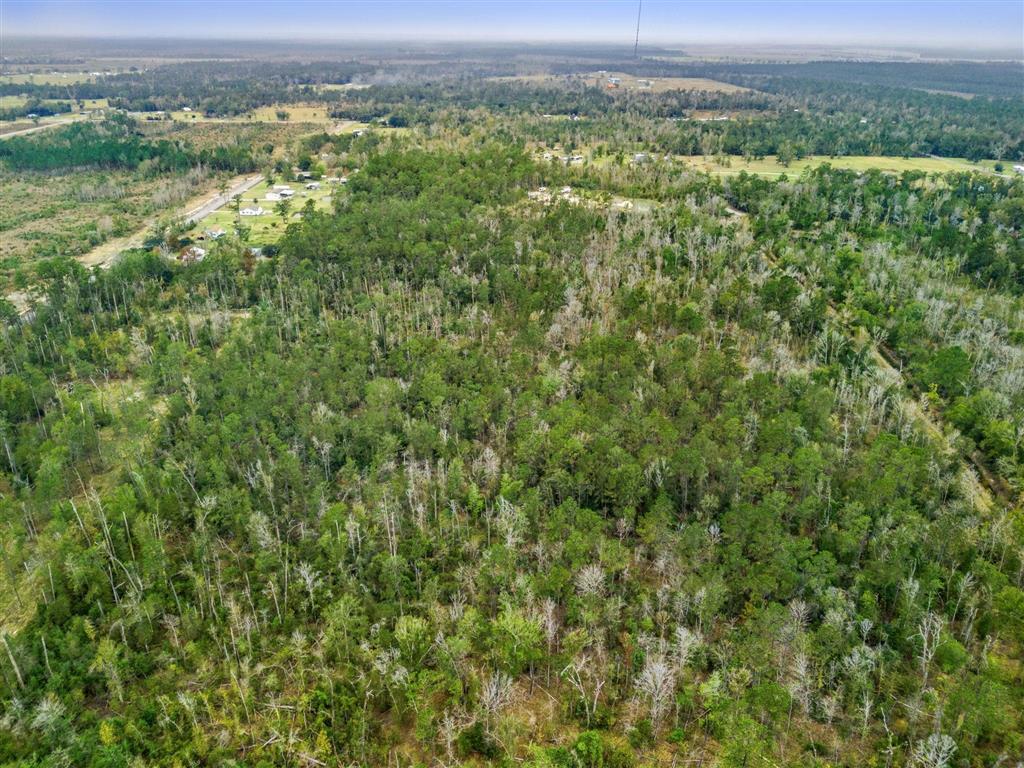 0 Woods Road Vinton, LA 70668 - Photo 5 of 9
