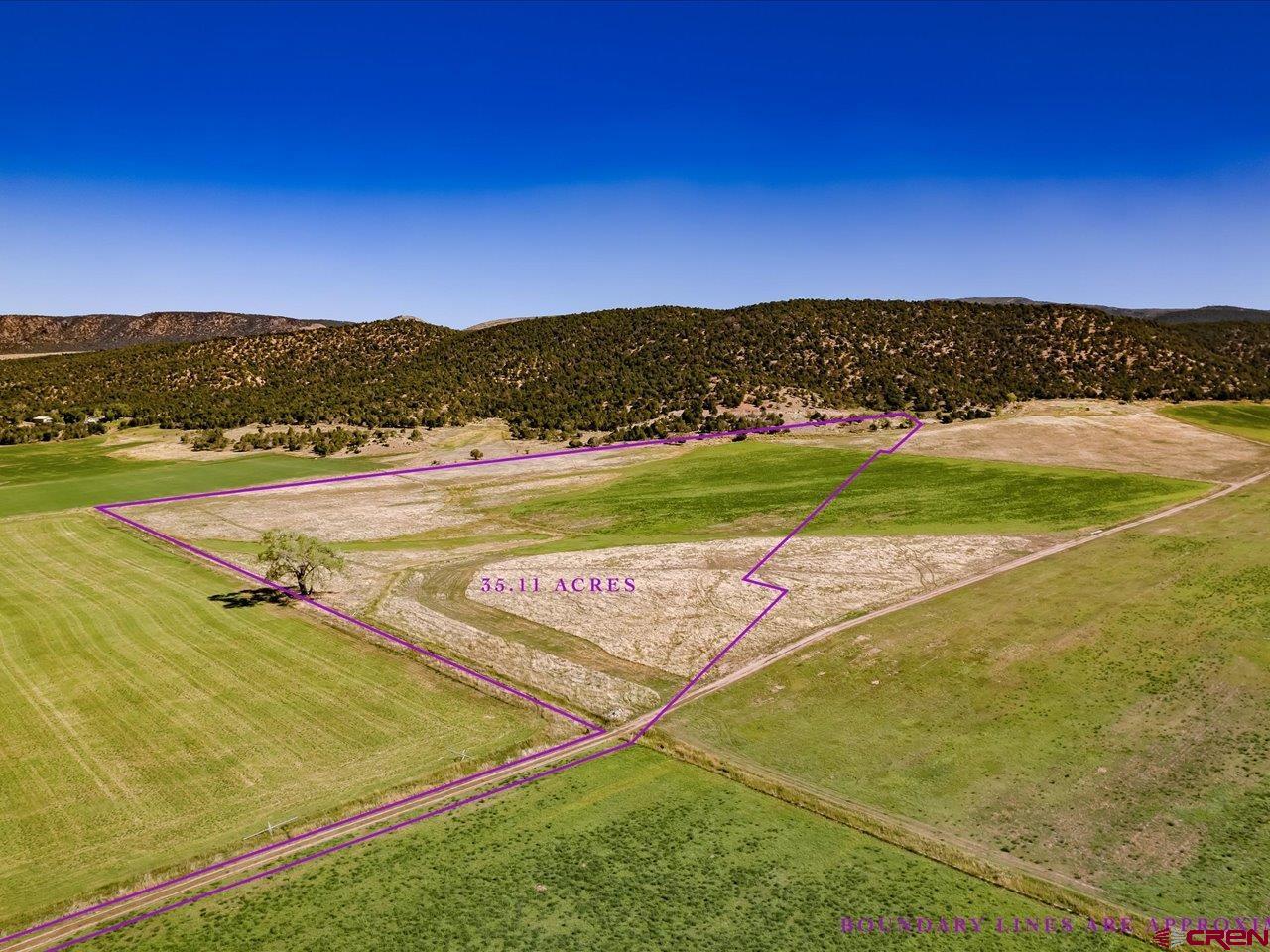 Tbd Bostwick Park Road Montrose, CO 81403 - Photo 1 of 7 Gallery Image 1