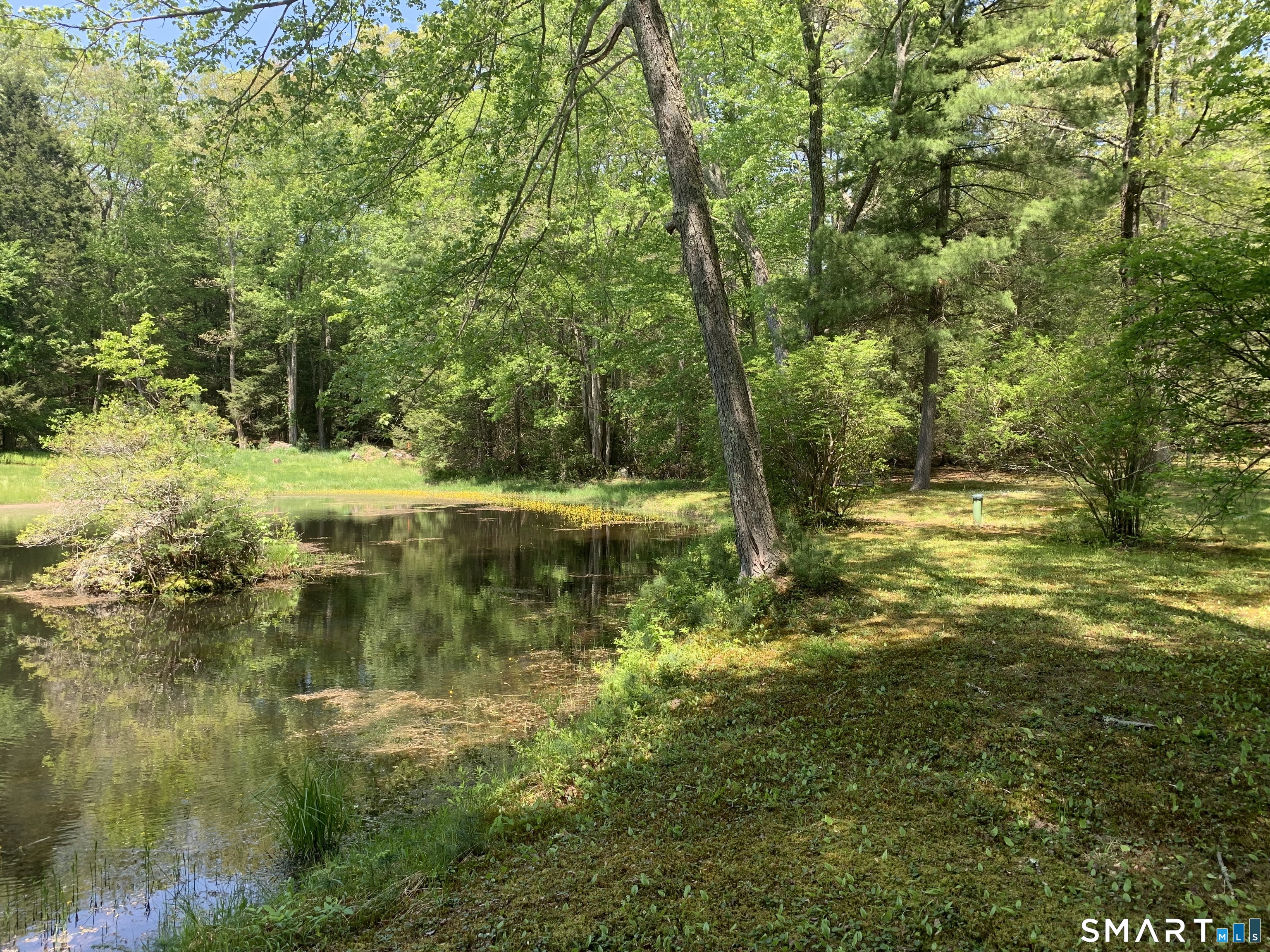 46 Mashapaug Road Union, CT 06076 - Photo 7 of 26 Pond is partially owned