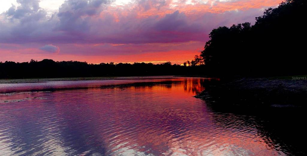 9093 East Pinehurst Court, Unit 3 Inverness, FL 34450 - Photo 94 of 97