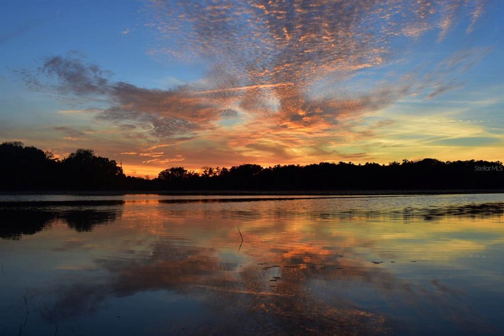 9093 East Pinehurst Court, Unit 3 Inverness, FL 34450 - Photo 95 of 97