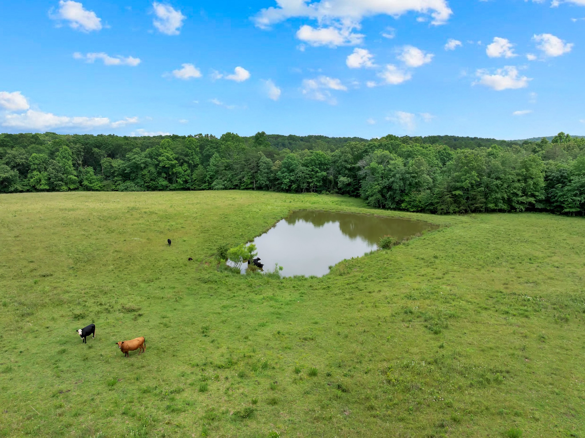 0 Salzer Mountain Road Spencer, TN 38585 - Photo 12 of 28