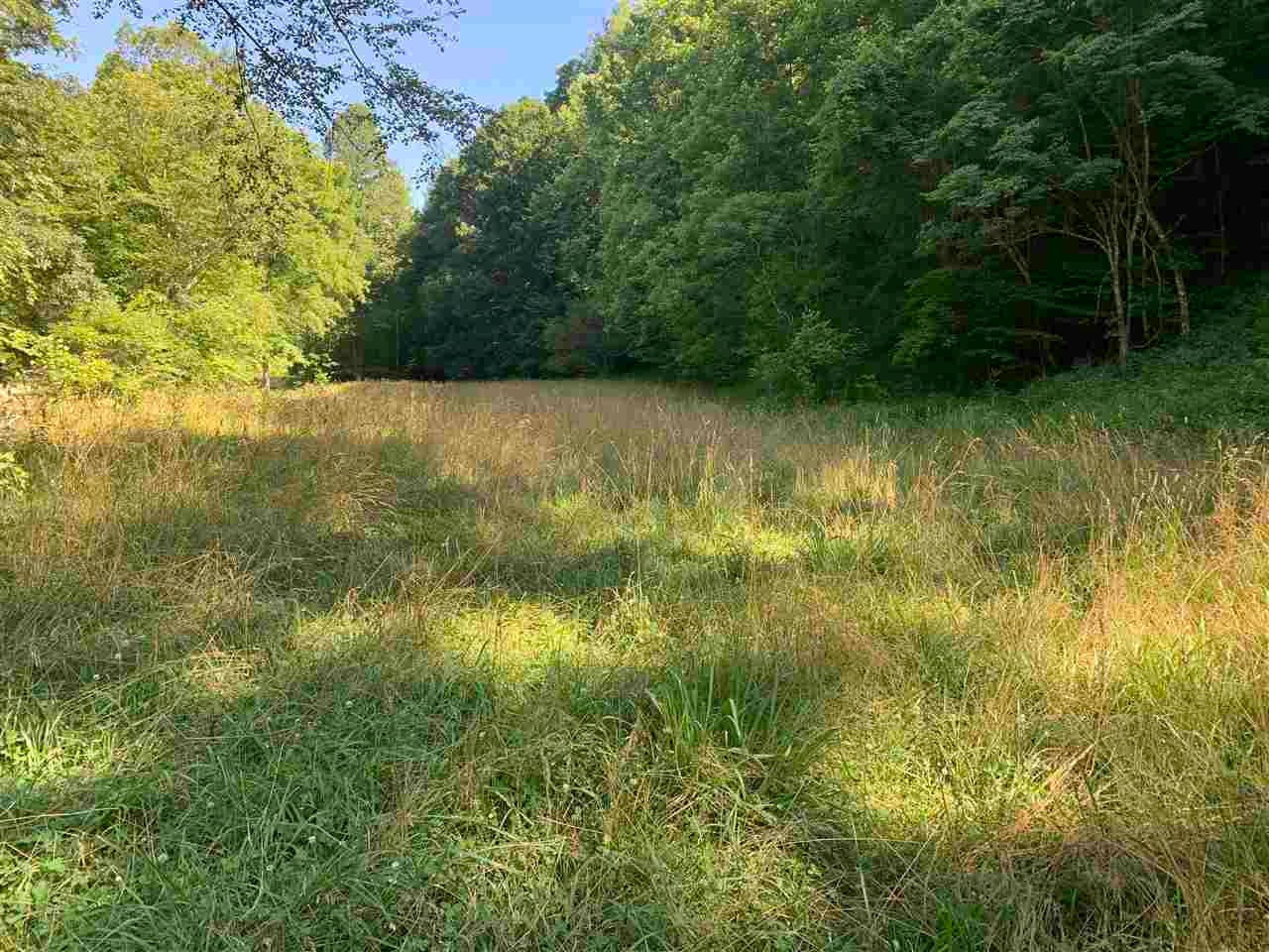 0 Nine Mile Road Branchland, WV 25506 - Photo 7 of 12 Gallery Image 7