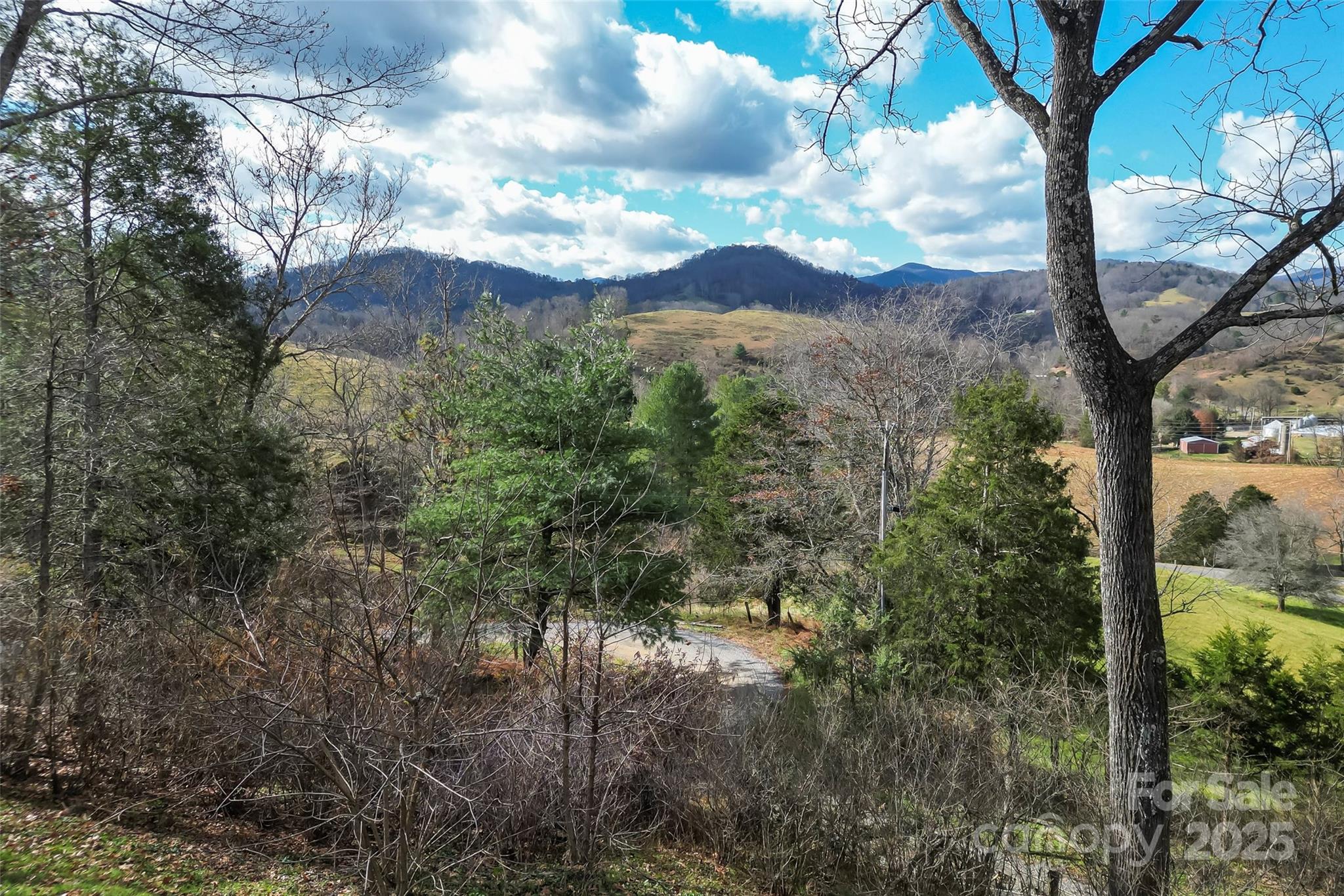 1240 Ferguson Cove Loop Clyde, NC 28721 - Photo 34 of 35