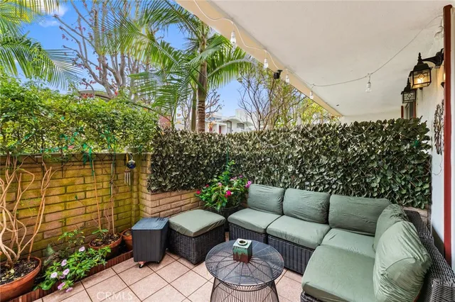 a view of a backyard with plants