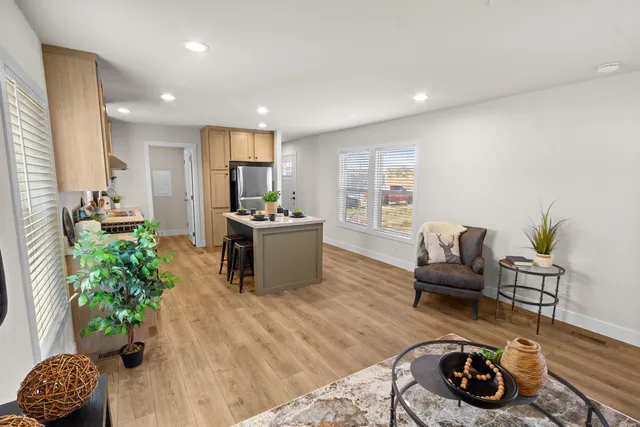 a living room with furniture and a potted plant