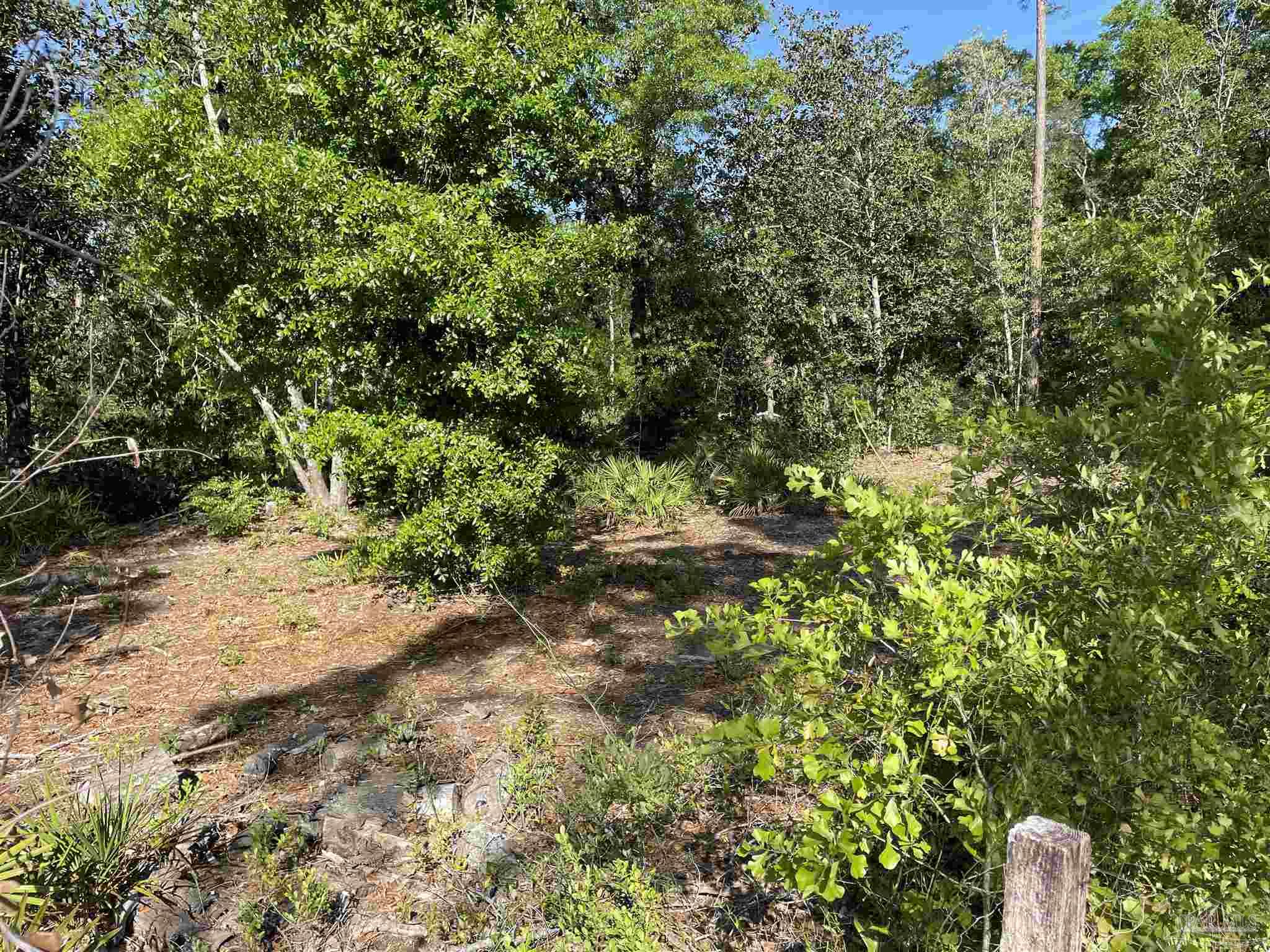 3947 Ward Basin Road Milton, FL 32583 - Photo 26 of 34