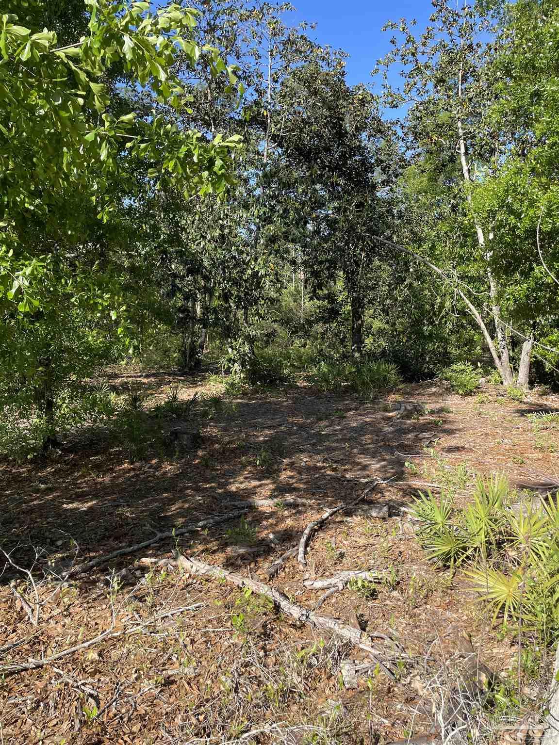 3947 Ward Basin Road Milton, FL 32583 - Photo 27 of 34