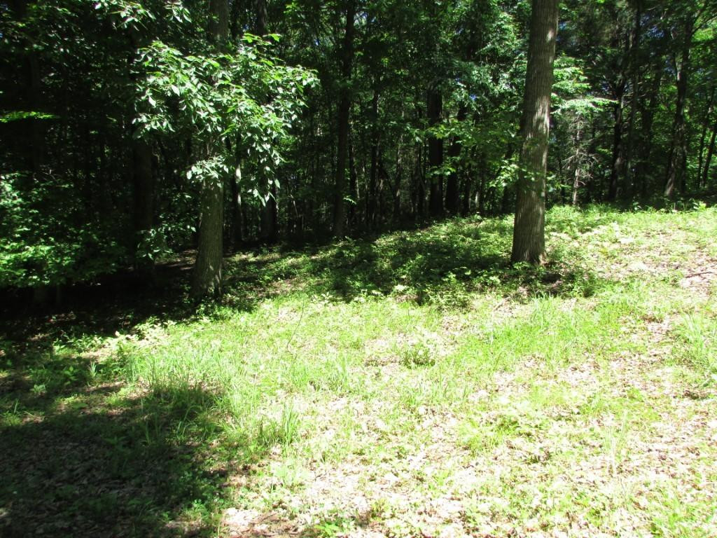249 Nave Hollow Road, Unit 7 Elizabethton, TN 37643 - Photo 2 of 8 Photo 2