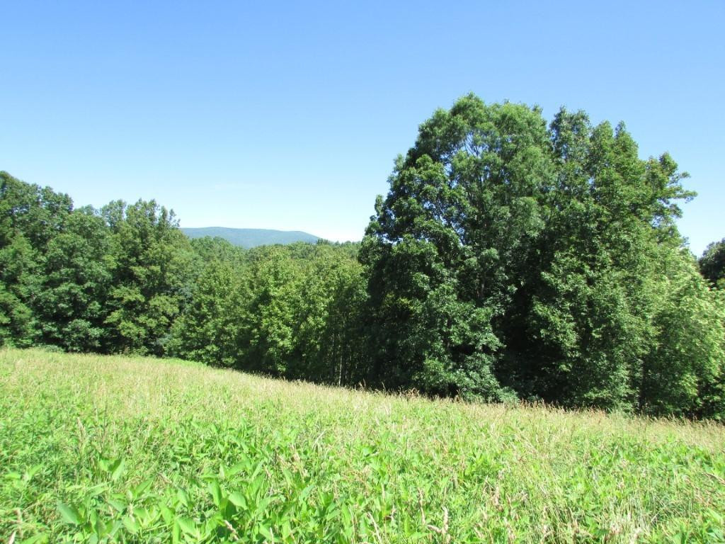249 Nave Hollow Road, Unit 7 Elizabethton, TN 37643 - Photo 3 of 8 Photo 3