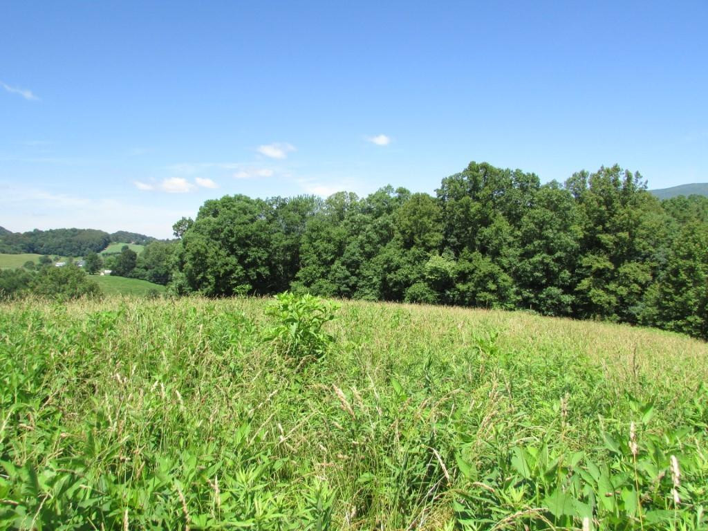 249 Nave Hollow Road, Unit 7 Elizabethton, TN 37643 - Photo 4 of 8 Photo 4