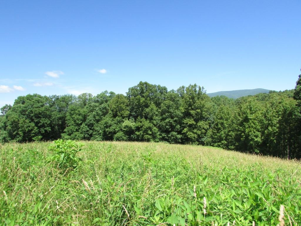 249 Nave Hollow Road, Unit 7 Elizabethton, TN 37643 - Photo 5 of 8 Photo 5