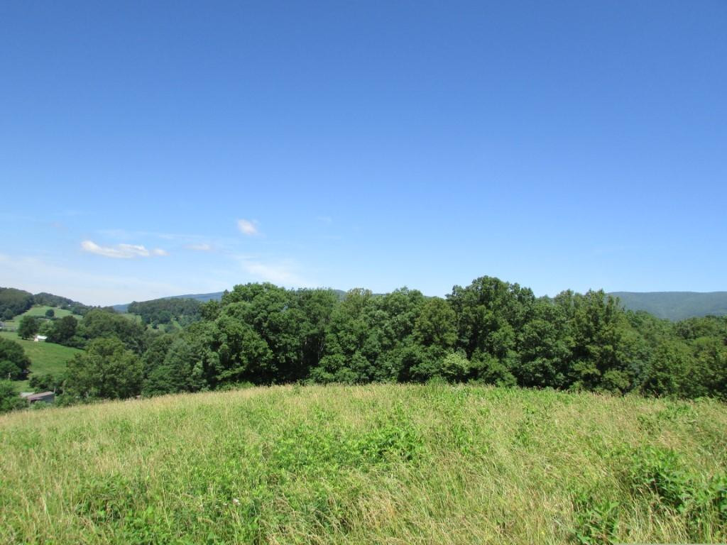 249 Nave Hollow Road, Unit 7 Elizabethton, TN 37643 - Photo 8 of 8 Photo 8