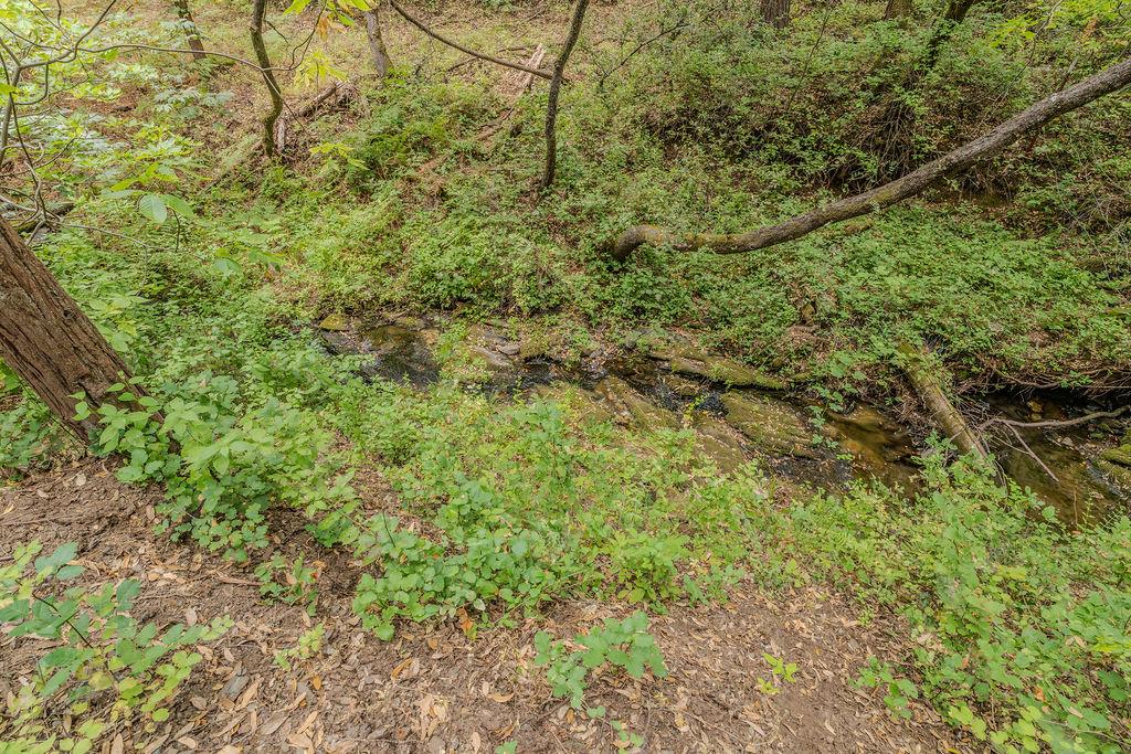 18101 Old River Road Fiddletown, CA 95629 - Photo 5 of 53 Gallery Image 5