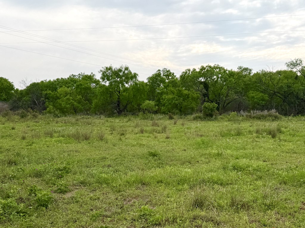 406 Airport Road Mason, TX 76856 - Photo 8 of 11 Gallery Image 8