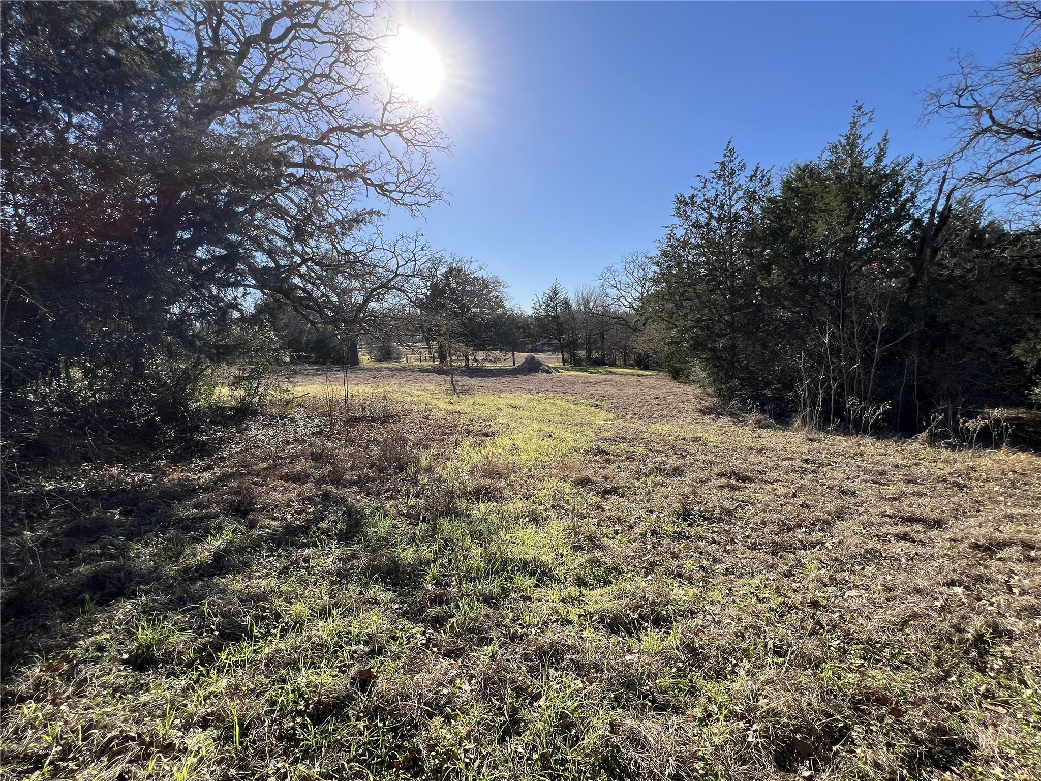 Tbd Rosanky Cattle Company Road Smithville, TX 78957 - Photo 37 of 40 a view of dirt yard with a large tree