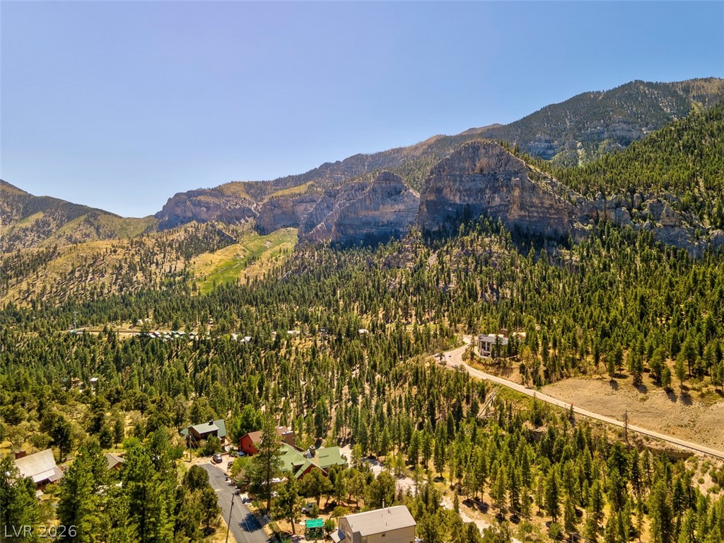 264 Crestview Drive Mount Charleston, NV 89124 - Photo 78 of 78 This elevated view captures the tranquil beauty of a mountain community nestled among verdant trees.