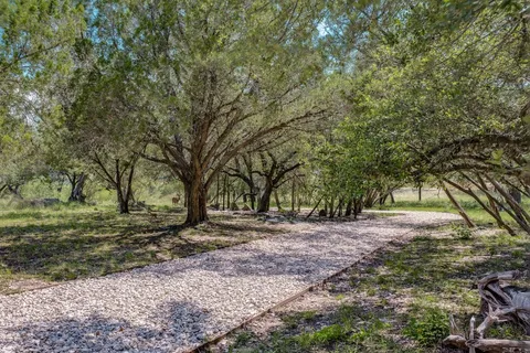 a view of a tree in the middle of a yard