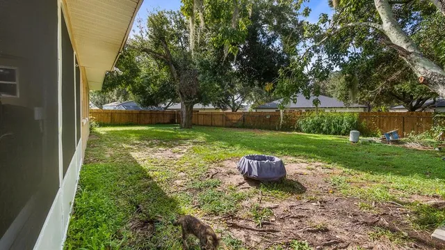 a view of a yard with large trees