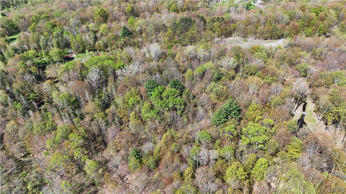 11470 River Road Florence, NY 13316 - Photo 12 of 13
