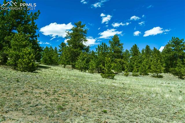 Lot 60 B Road Guffey, CO 80820 - Photo 9 of 28