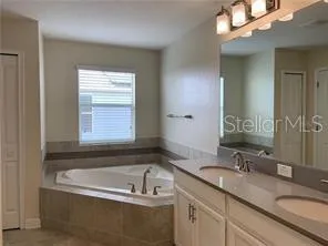 a bathroom with a sink a bathtub and a mirror
