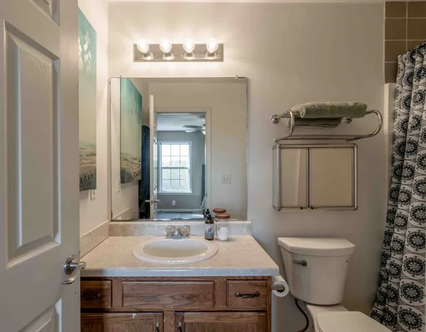 a bathroom with a sink and a toilet