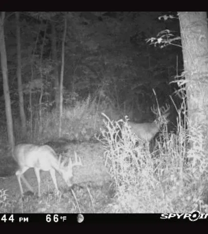 $699,900 | W5005 Alberts Lane, Bonduel, WI 54107