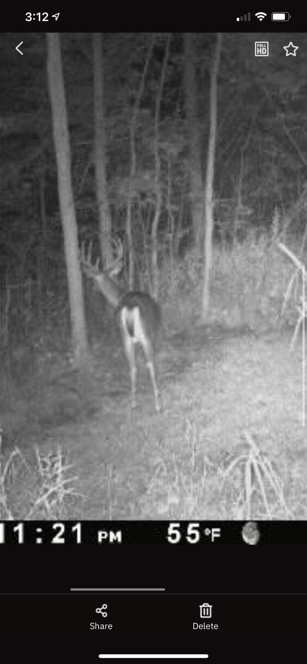 W5005 Alberts Lane Bonduel, WI 54107 - Photo 61 of 66