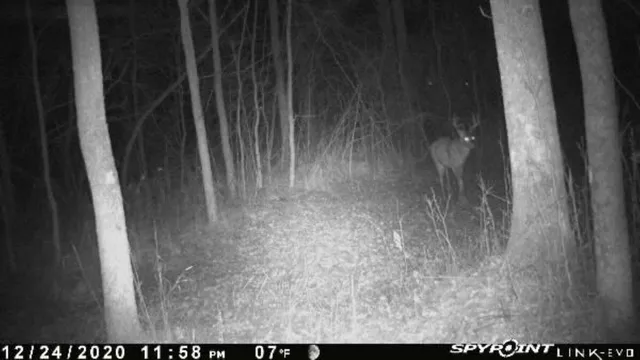 $699,900 | W5005 Alberts Lane, Bonduel, WI 54107