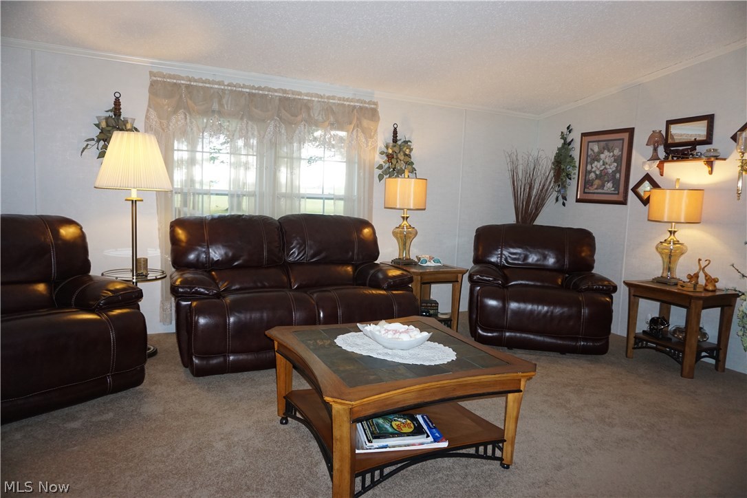 14101 Woodworth Road New Springfield, OH 44443 - Photo 13 of 34