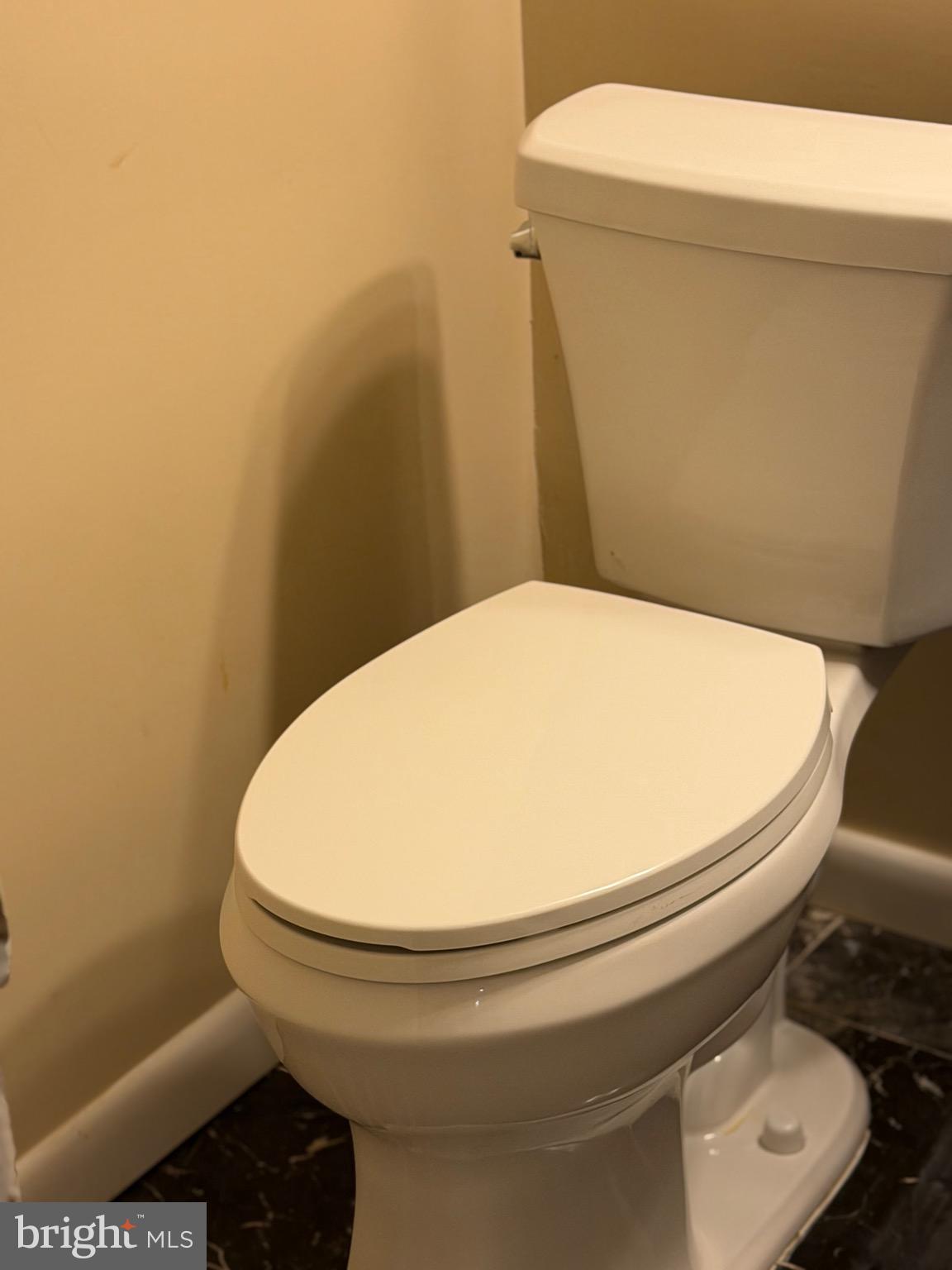 6731 Fox Meadow Road Gwynn Oak, MD 21207 - Photo 44 of 62 Basement toilet