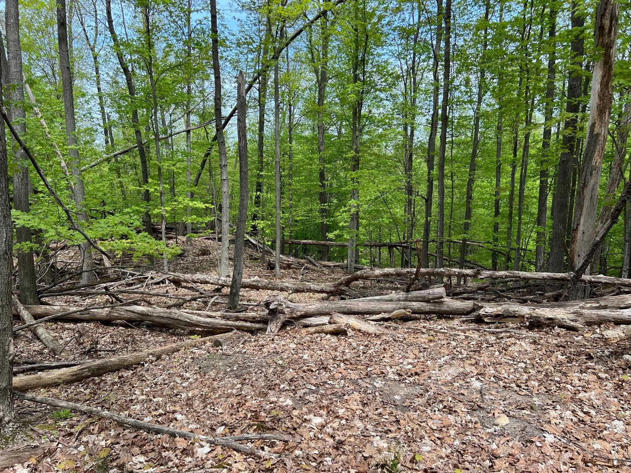 0 Prouty Road Traverse City, MI 49686 - Photo 29 of 40