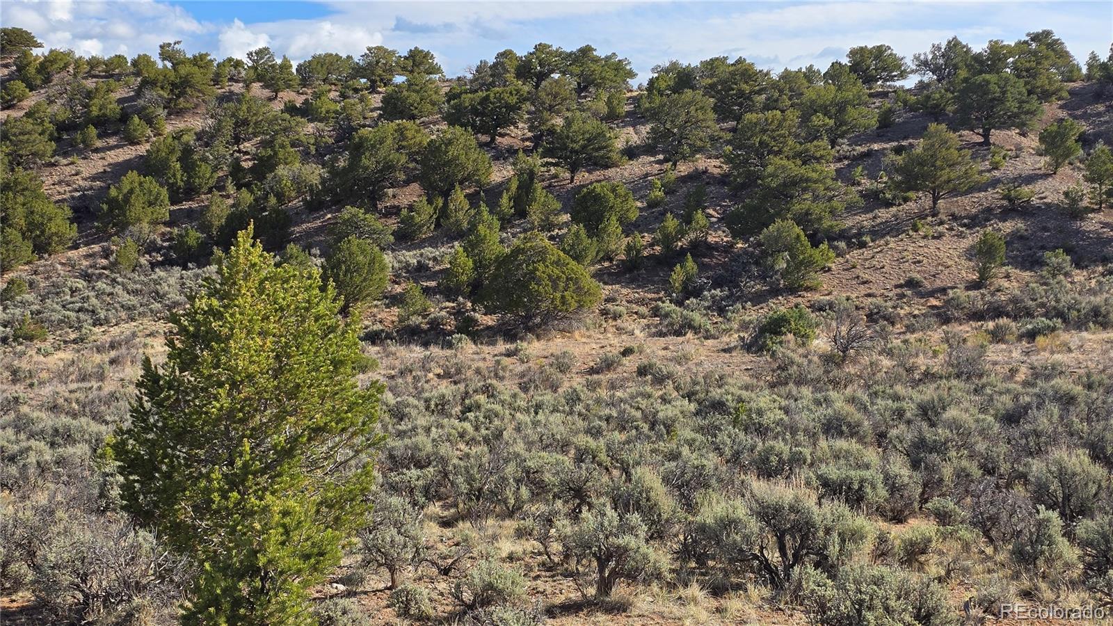 Lot 7340 Sweaney Road Fort Garland, CO 81133 - Photo 16 of 31 Gallery Image 16