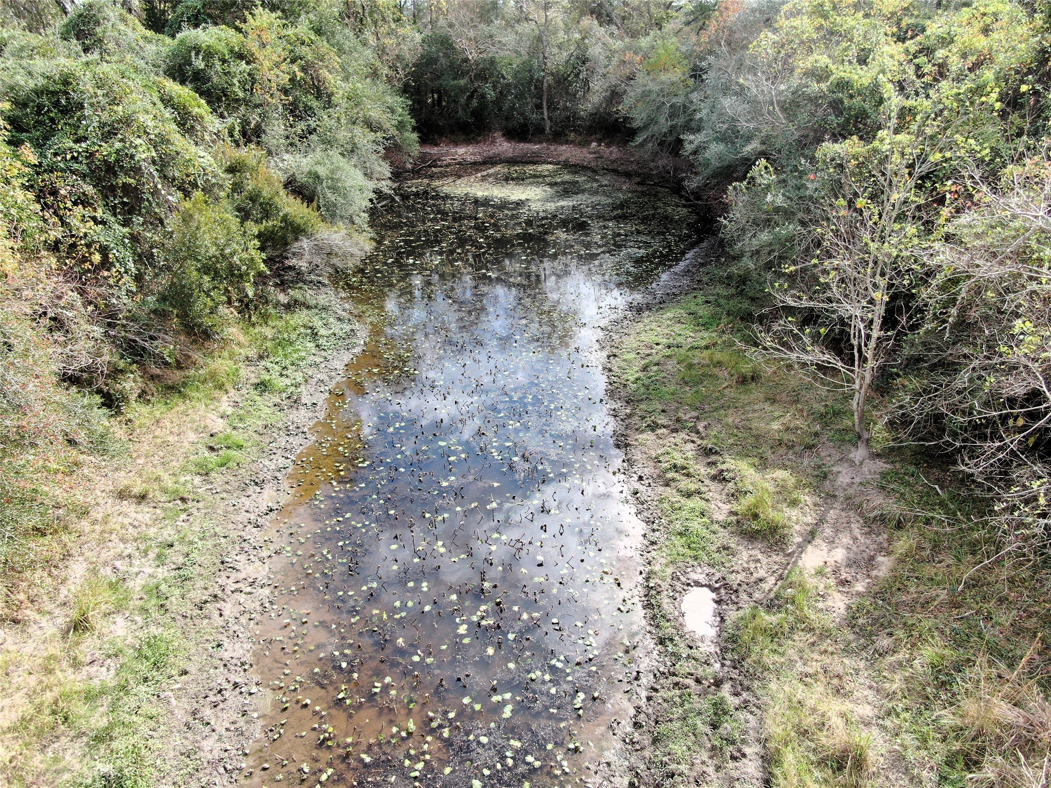 2701 Langberg Road Bellville, TX 77418 - Photo 12 of 24 a view of a forest with trees in the background