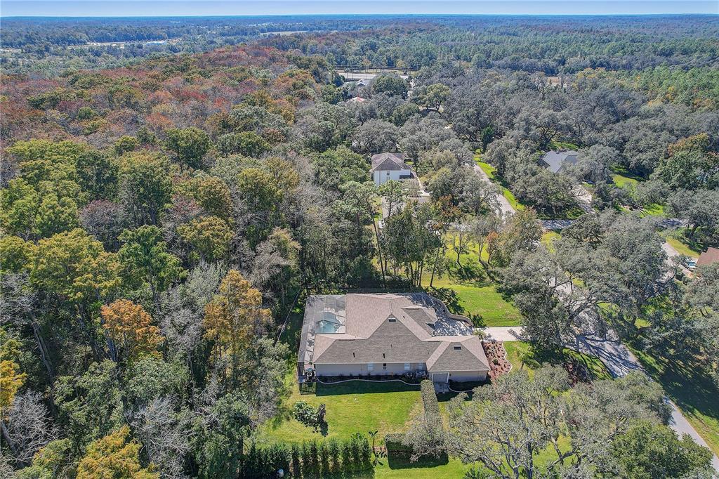 12054 Quail Ridge Drive Spring Hill, FL 34610 - Photo 65 of 69