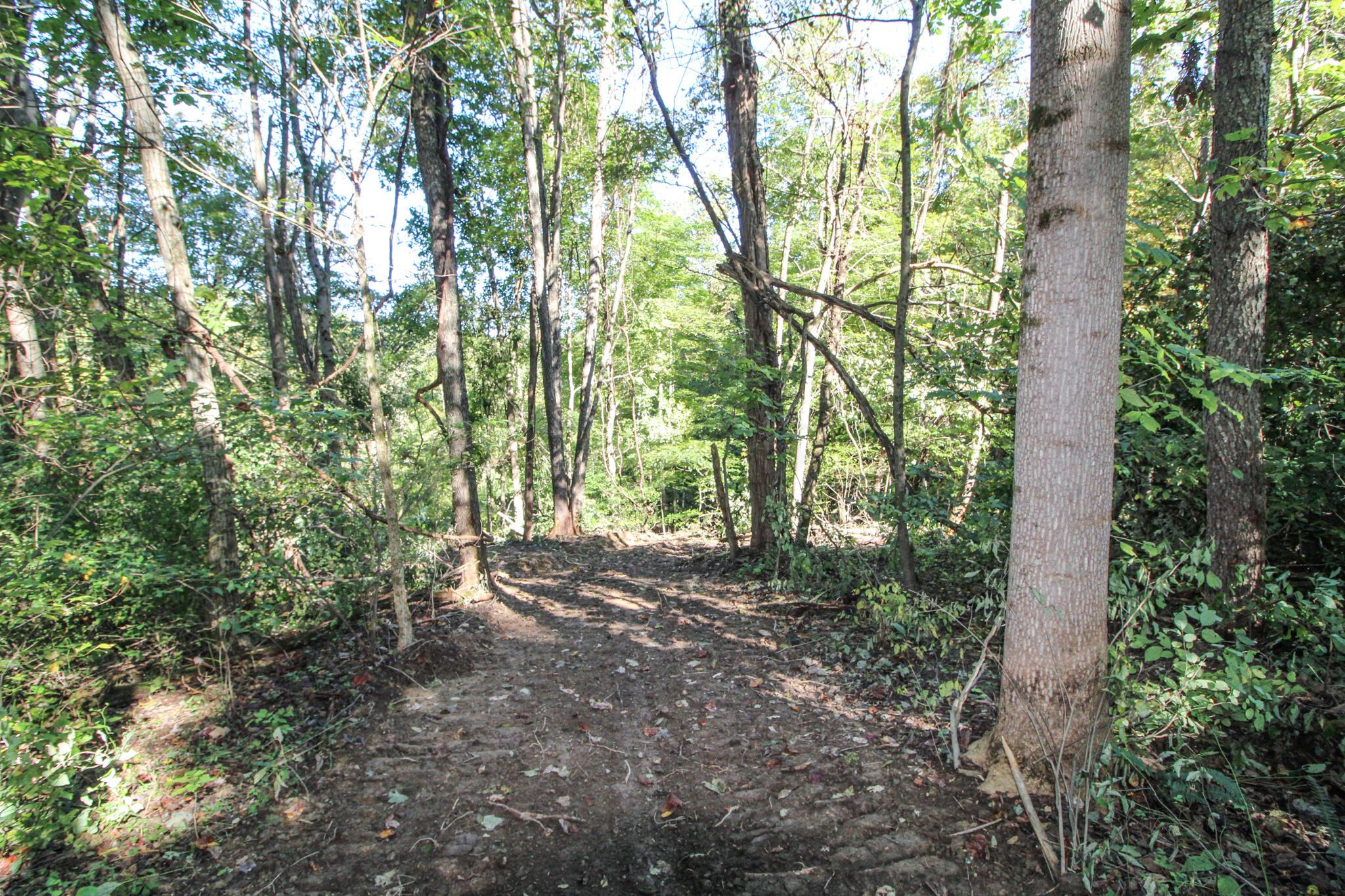0 Mud Run Road Summerfield, OH 43788 - Photo 7 of 51 IMG_5432