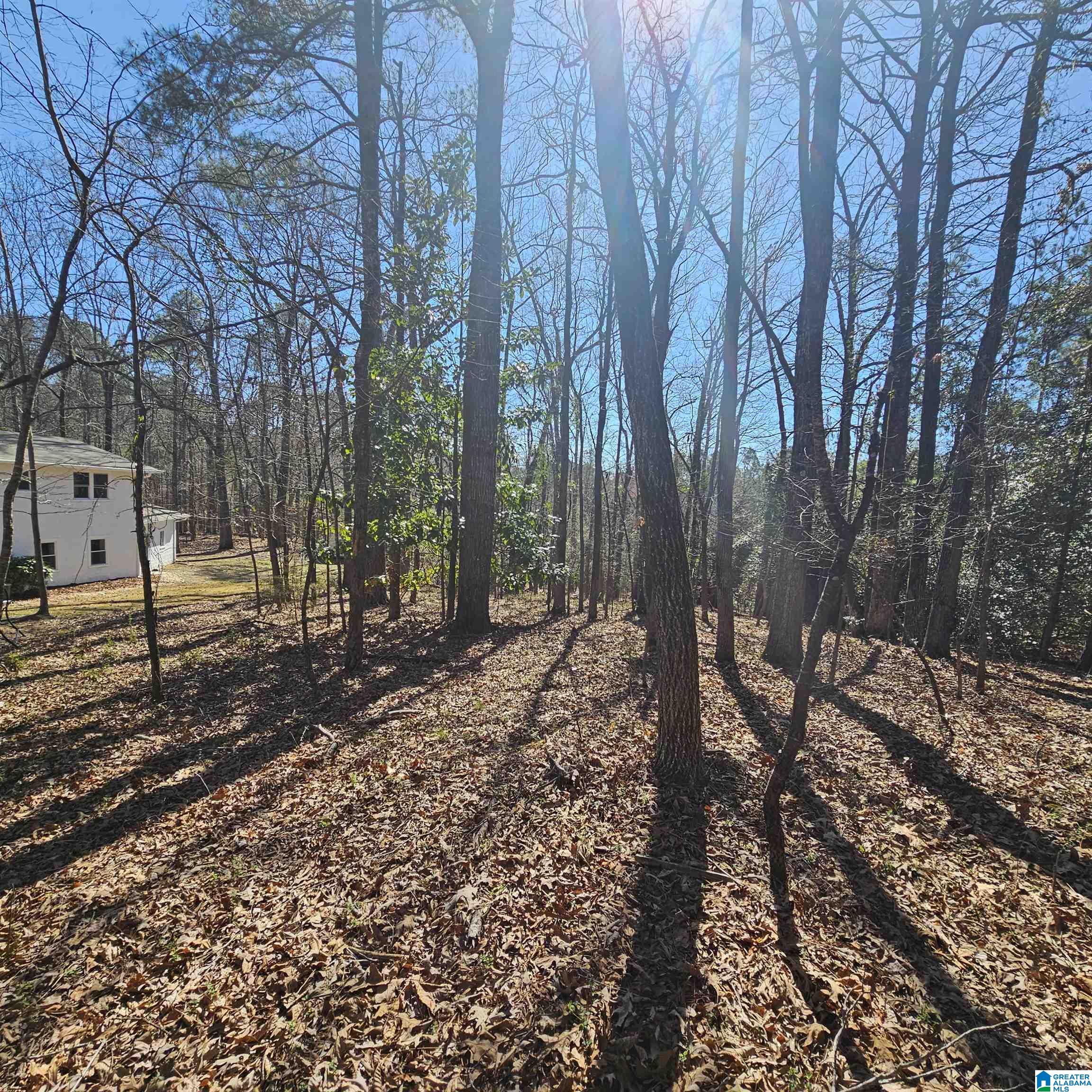 77 Goel Road Birmingham, AL 35244 - Photo 60 of 92