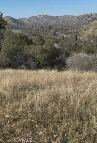 a view of a dry yard