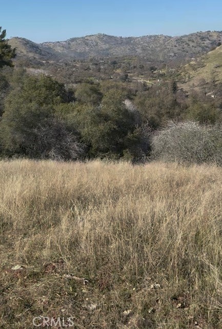 0 Chuckwagon Road Squaw Valley, CA 93675 - Photo 2 of 4 a view of a dry yard
