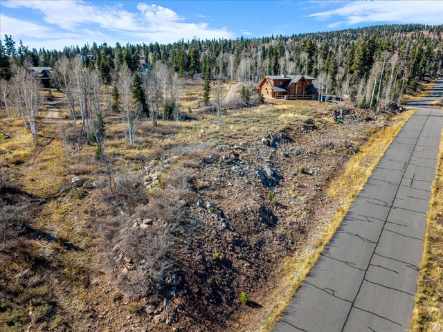 367 Spring Drive, Unit 67 Springdale, UT 84767 - Photo 1 of 13 Aerial overview of property's location featuring a heavily wooded area