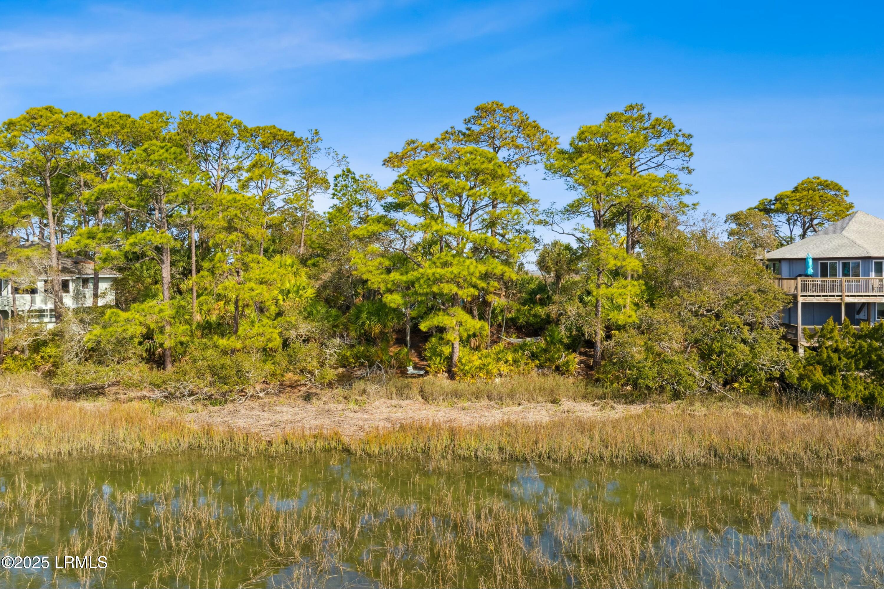 864 Fiddlers Ridge Road Fripp Island, SC 29920 - Photo 54 of 84 tempImagebB5h6J