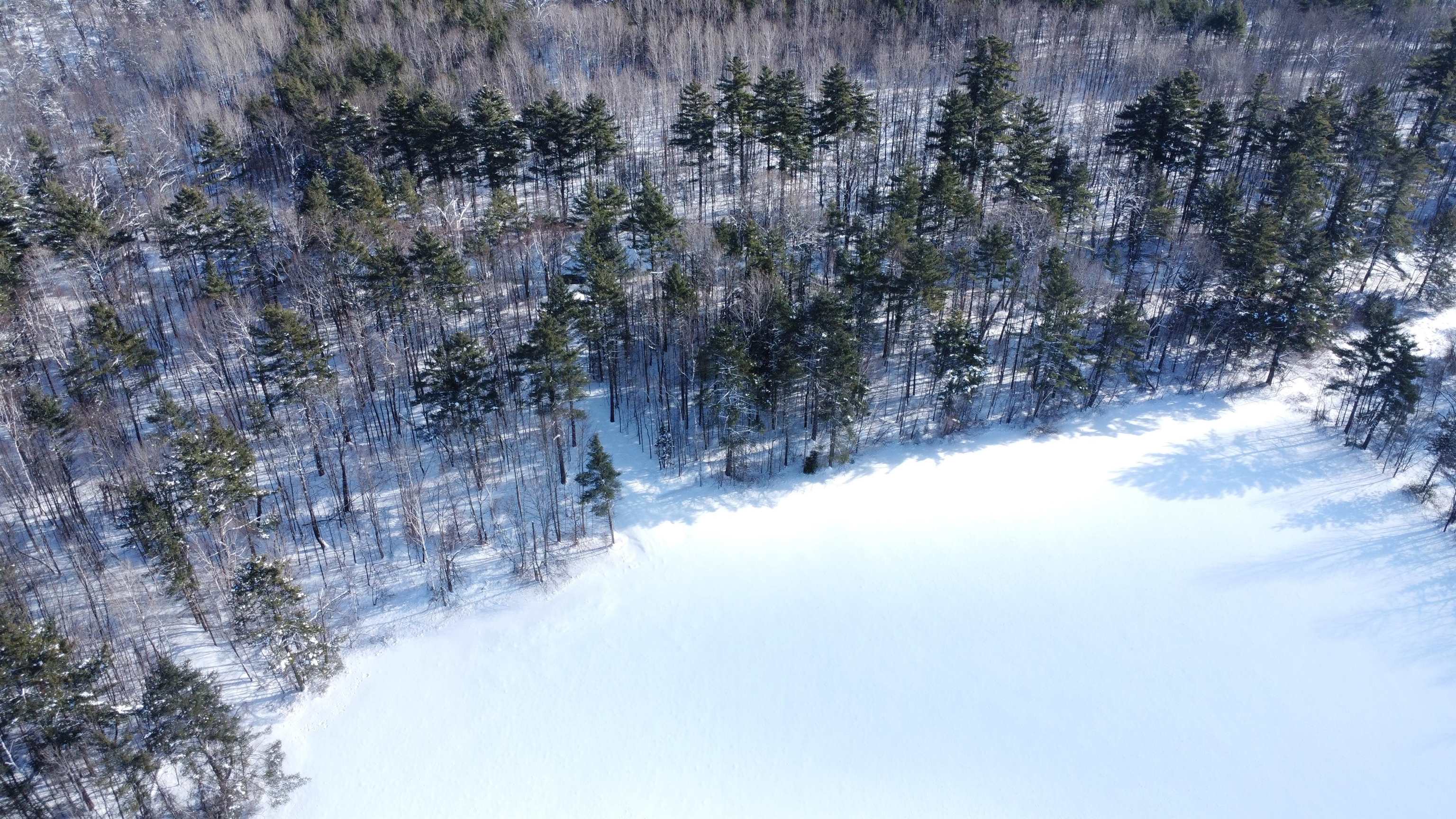 345 Leavitt Hill Road, Unit 1640A AND 1640 Cornish, NH 03745 - Photo 13 of 16