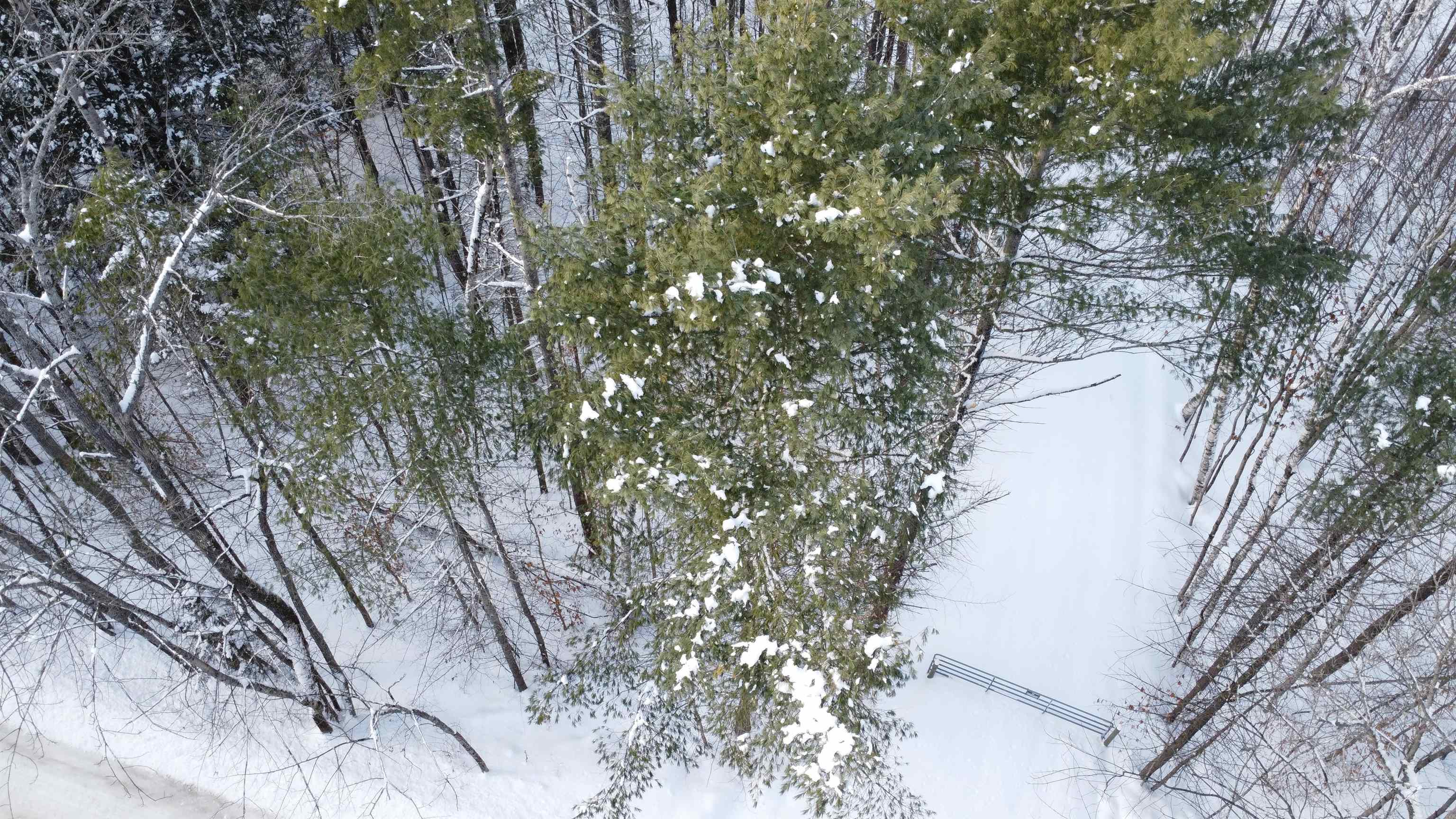 345 Leavitt Hill Road, Unit 1640A AND 1640 Cornish, NH 03745 - Photo 6 of 16