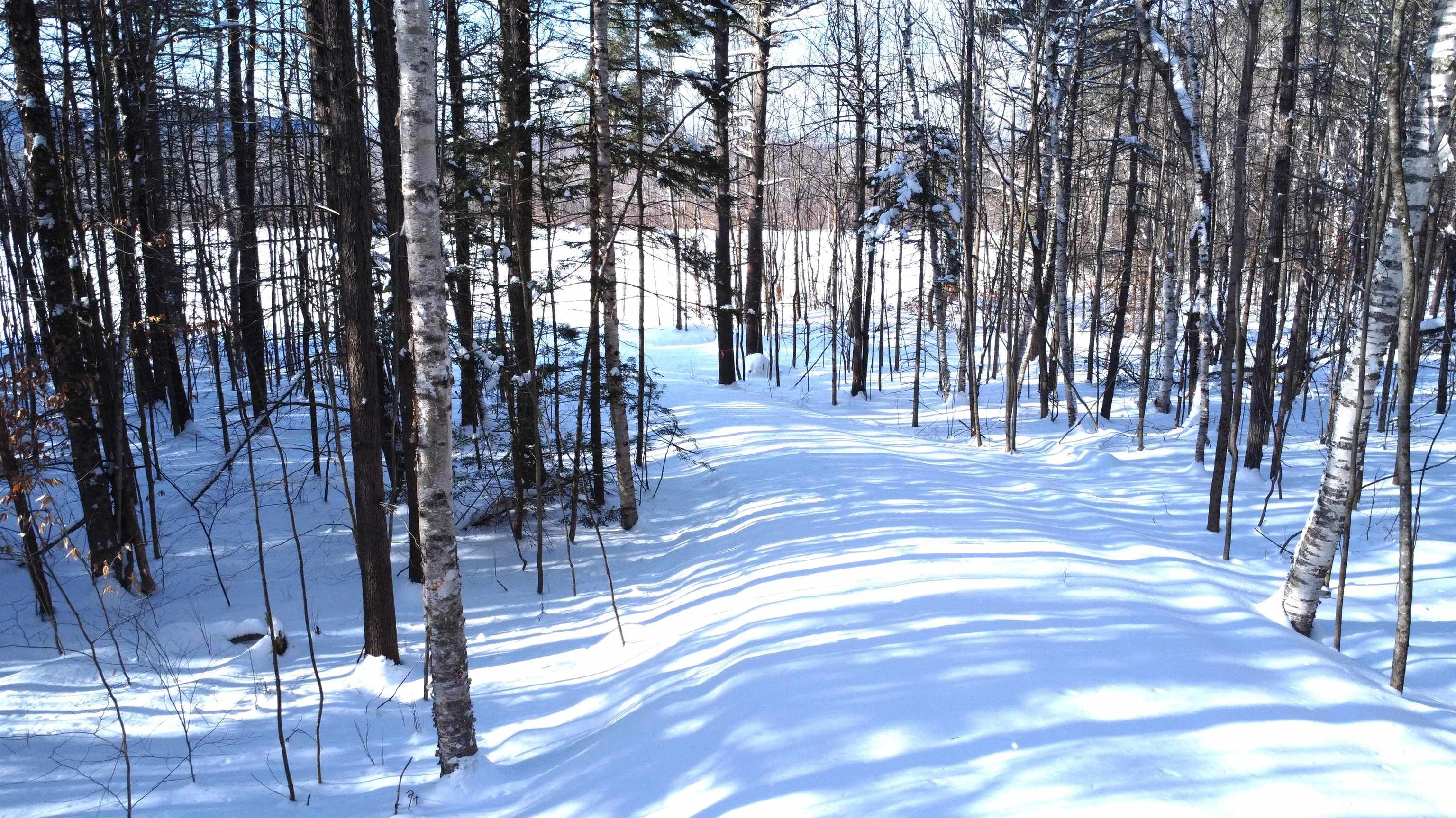 345 Leavitt Hill Road, Unit 1640A AND 1640 Cornish, NH 03745 - Photo 7 of 16