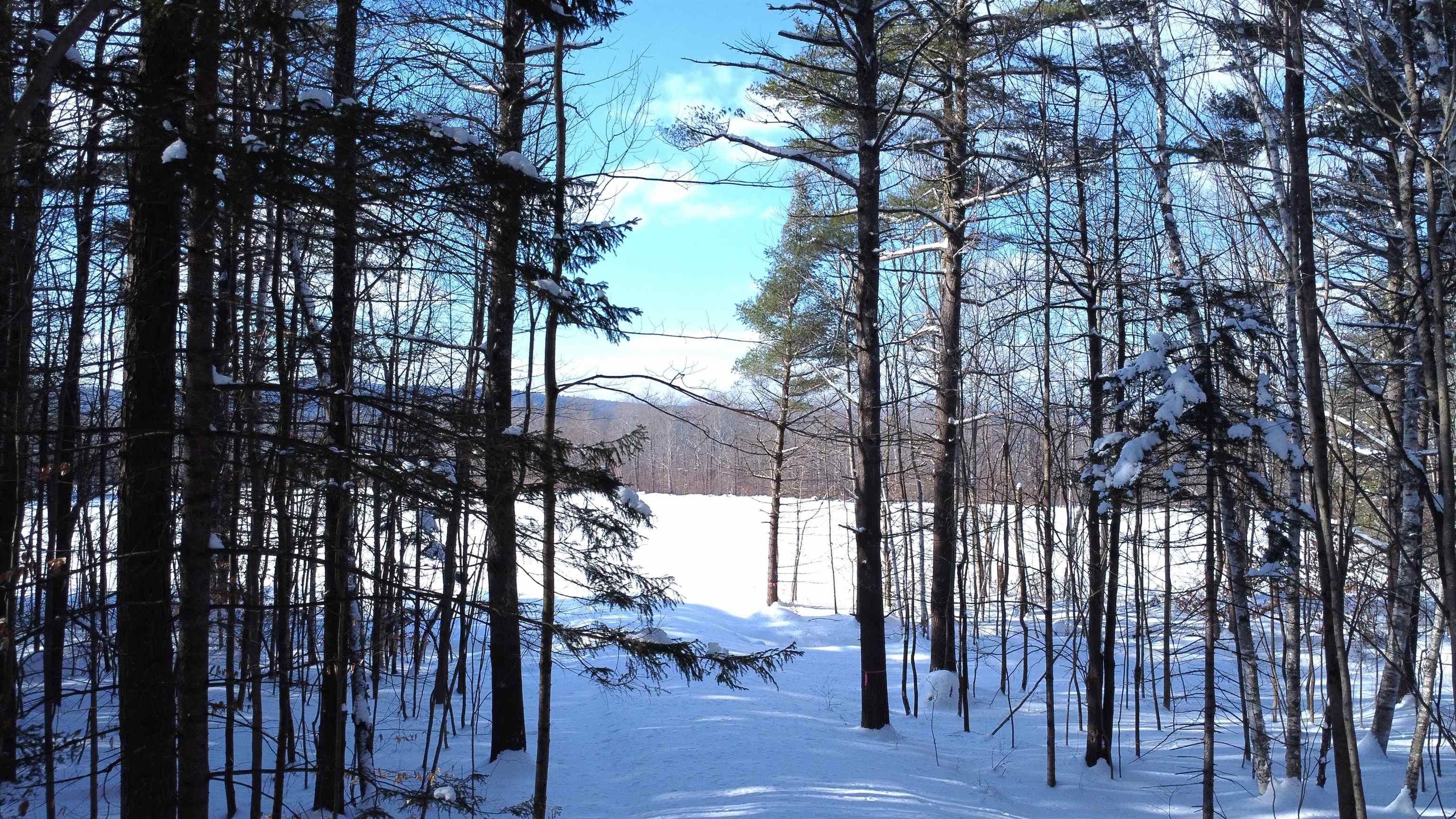 345 Leavitt Hill Road, Unit 1640A AND 1640 Cornish, NH 03745 - Photo 8 of 16